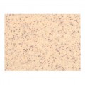 Sanitec Classic Συνθετικός Νεροχύτης 300 116 x 50cm Granite Beige